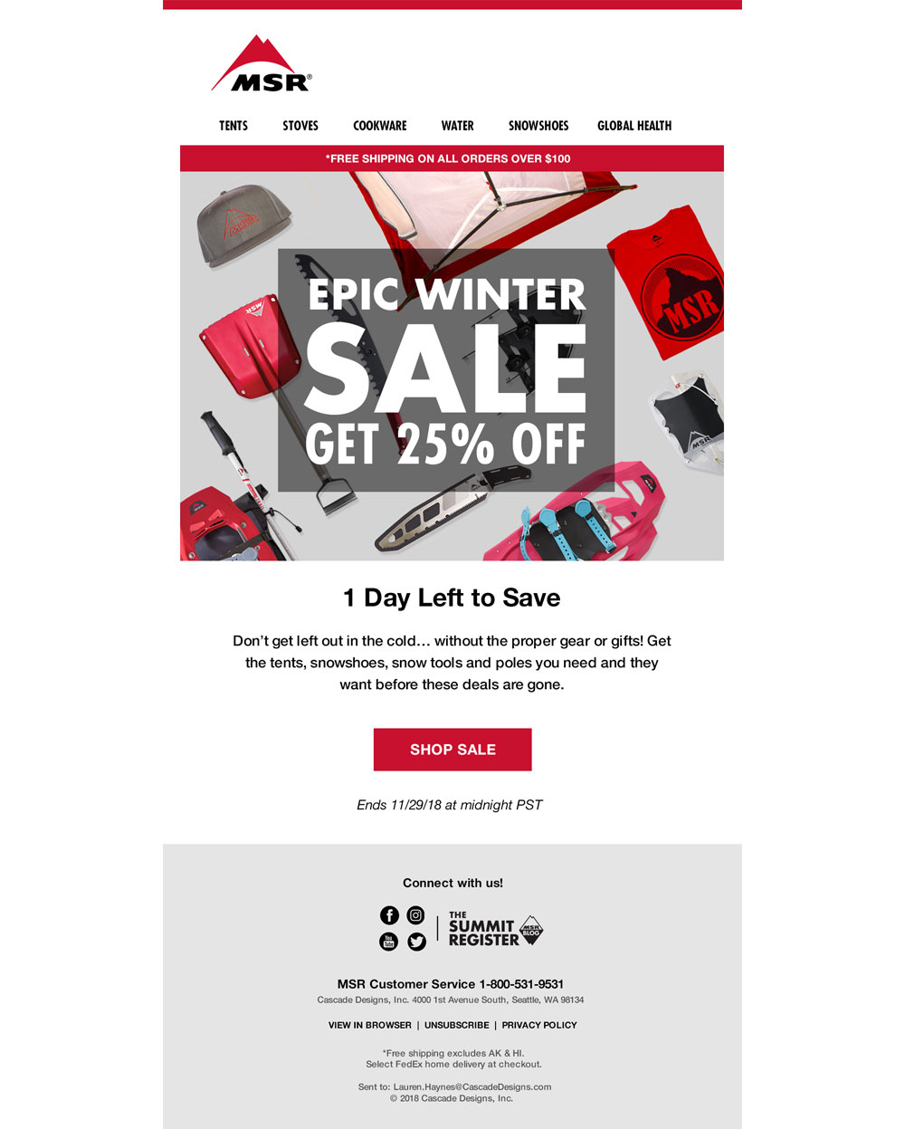 MSR email campaign | Pure Design Group